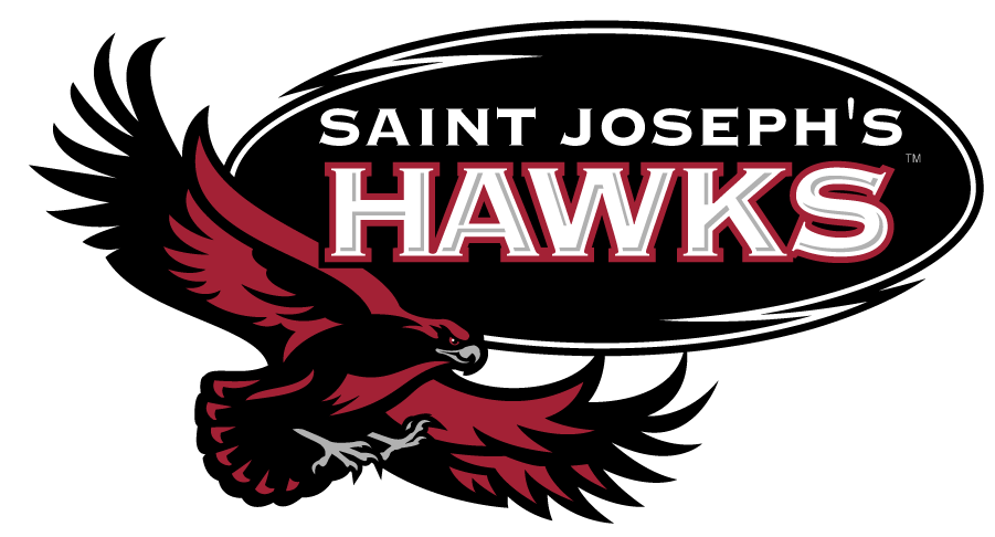 St. Joseph's Hawks 2002-2018 Alternate Logo diy DTF decal sticker